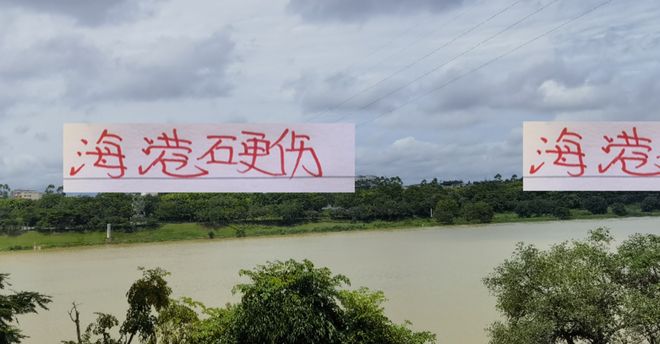 除海港外！前5主场都有超4万场次 海港球迷不够隔壁多 也是硬